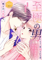 至極の男〜もう一度愛される夜［comic tint］ 分冊版（15）