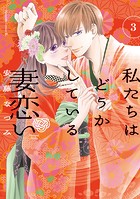 私たちはどうかしている 妻恋い 分冊版（3）
