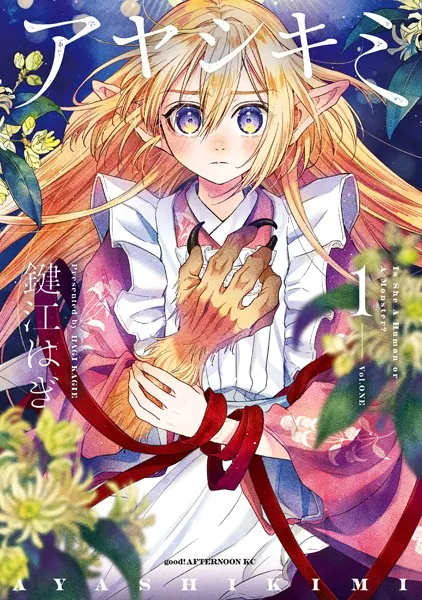 アヤシキミ（1）