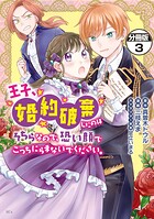 王子、婚約破棄したのはそちらなので、恐い顔でこっちにらまないでください。 分冊版（3）【期間限定 無料お試し版】