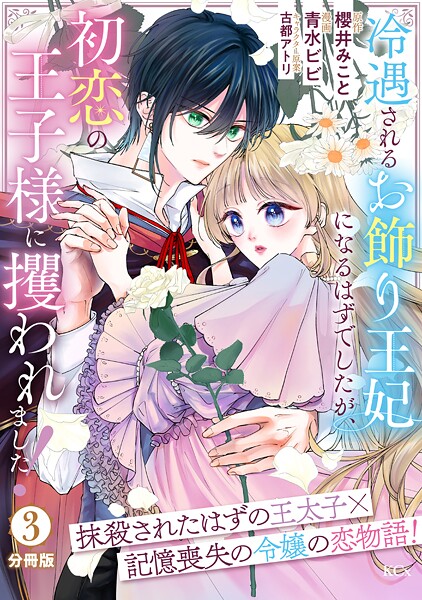冷遇されるお飾り王妃になるはずでしたが、初恋の王子様に攫われました！ 分冊版（3）
