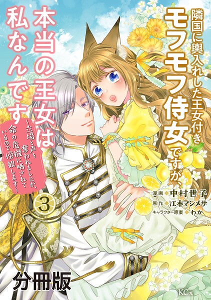 隣国に輿入れした王女付きモフモフ侍女ですが、本当の王女は私なんです 分冊版（3） 〜立場と声を奪われましたが、命の危機に晒されているので傍観します〜【期間限定 無料お試し版】
