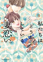 私たちはどうかしている 妻恋い 3
