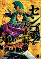 センゴク天正記 （11）