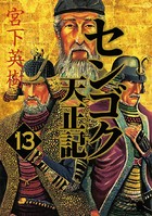 センゴク天正記 （13）