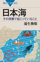 その深層で起こっていること