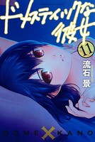 ドメスティックな彼女 （11）