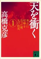天を衝く 秀吉に喧嘩を売った男九戸政実