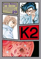 K2 （29）