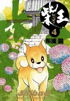 柴王
