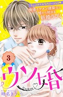 ウソ婚 分冊版 （3）