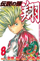 伝説の頭 翔 （8）