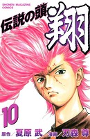 伝説の頭 翔 （10）