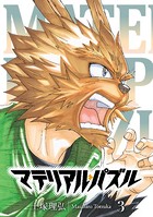 マテリアル・パズル （3）