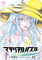 マテリアル・パズル （12）