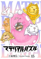 マテリアル・パズル （15）