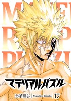 マテリアル・パズル （17）