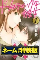 ドメスティックな彼女 公式薄い本 - 流石景 - 少年マンガ - DMMブックス