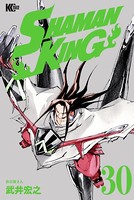 SHAMAN KING （30）