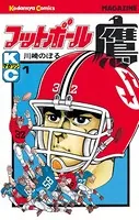 フットボール鷹
