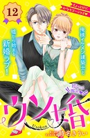 ウソ婚 分冊版 （12）