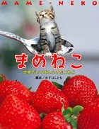 まめねこ