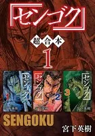 センゴク 超合本版