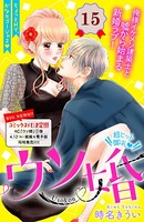 ウソ婚 分冊版 （15）
