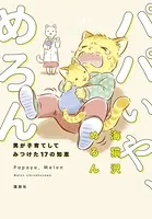パパいや、めろん
