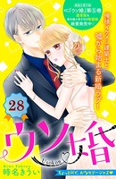 ウソ婚 分冊版 （28）