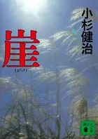 崖