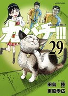 カバチ！！！ -カバチタレ！3- （29）