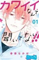 カワイイなんて聞いてない！！ ベツフレプチ
