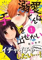 溺愛くんは手を出せない