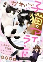 かわいい子猫のアイランド 〜漫画家が保護猫を引き取った話〜