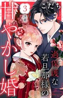 過保護な若旦那様の甘やかし婚 ［comic tint］ 分冊版 （3）