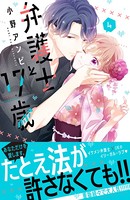 弁護士と17歳 （4）