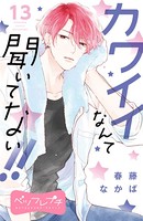 カワイイなんて聞いてない！！ ベツフレプチ （13）
