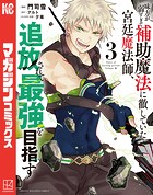 味方が弱すぎて補助魔法に徹していた宮廷魔法師、追放されて最強を目指す （3）