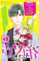 ウソ婚 分冊版 （43）