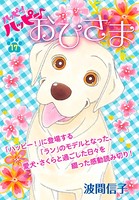 ハッピー！ハッピー♪ （17） 特別編:おひさま