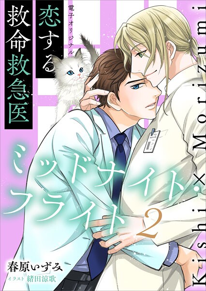 恋する救命救急医 ミッドナイト・フライト2【電子オリジナル】