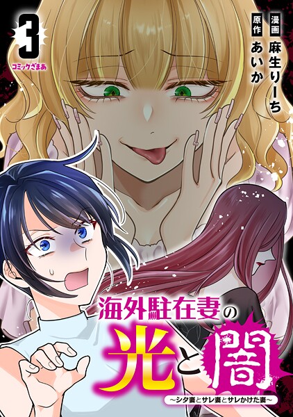 海外駐在妻の光と闇〜シタ妻とサレ妻とサレかけた妻〜（3）