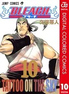 BLEACH カラー版 10