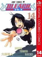 BLEACH カラー版 14