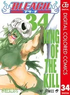 BLEACH カラー版 34