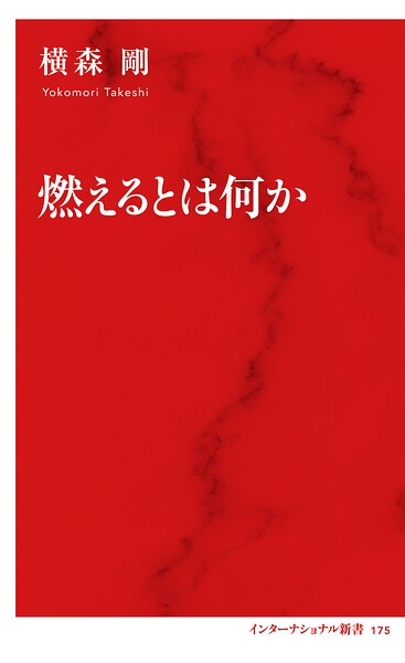 燃えるとは何か（インターナショナル新書）
