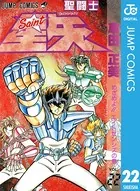 聖闘士星矢 22