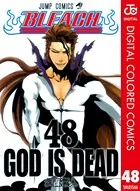 BLEACH カラー版 48