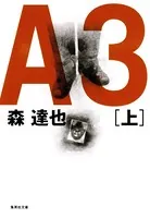 A3